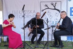 Koncert Todo Art Trio (Muzyczne Ilustracje)
