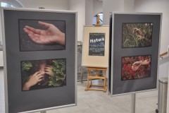 Wystawa fotografii "Natura"